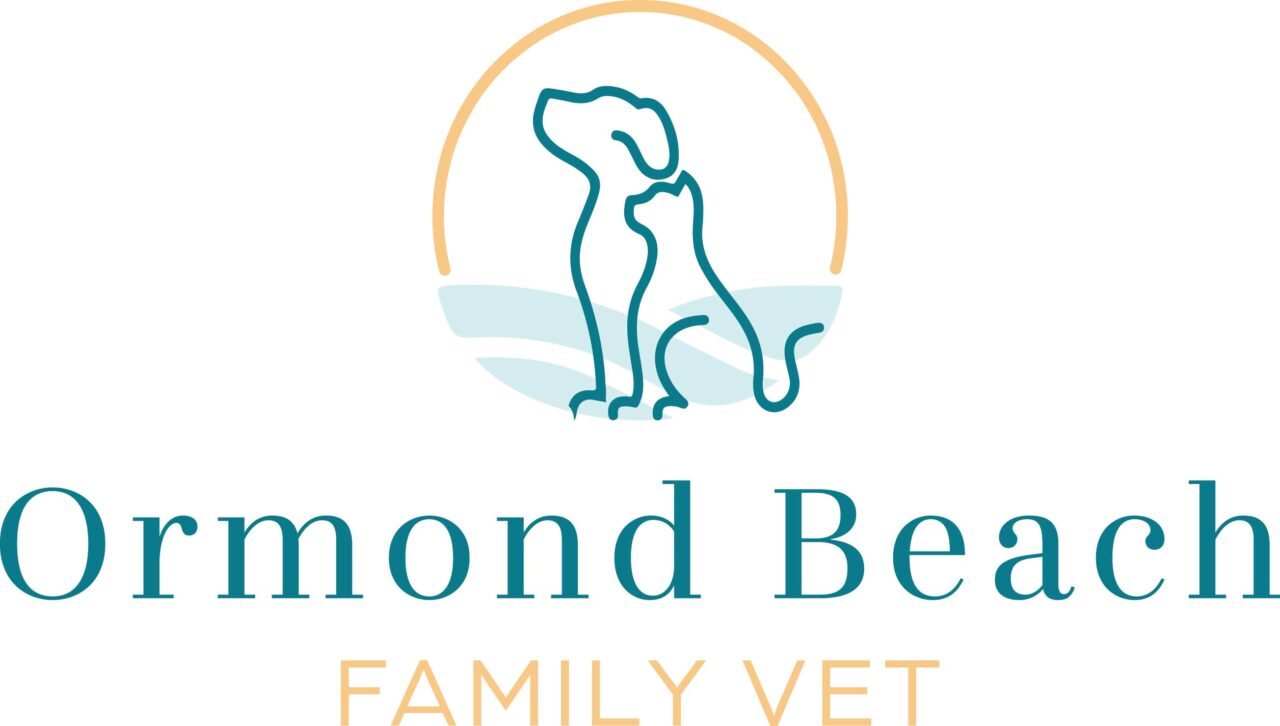Veterinarian In Ormond Beach, FL Ormond Beach Family Vet